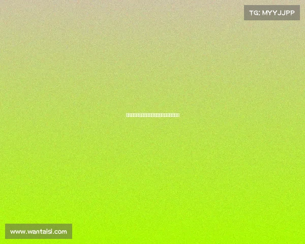 法乙新星西拉加盟沙尔克签约至，球队未来看好